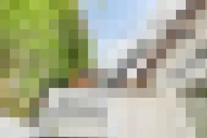 Helper Westsingel 6 Groningen thumbnail 51