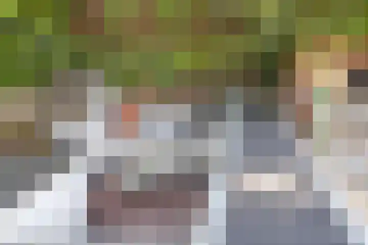 Helper Westsingel 6 Groningen thumbnail 52