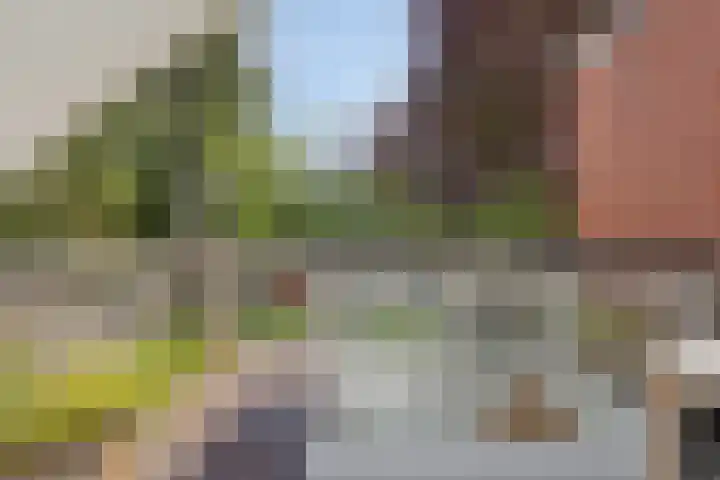 Helper Westsingel 6 Groningen thumbnail 56