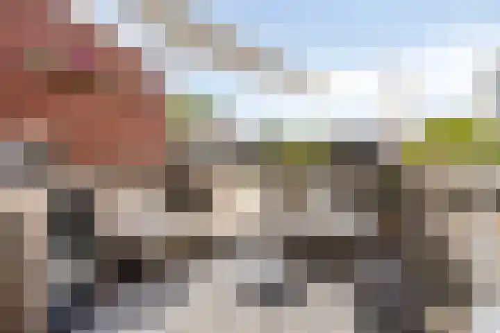 Helper Westsingel 6 Groningen thumbnail 57