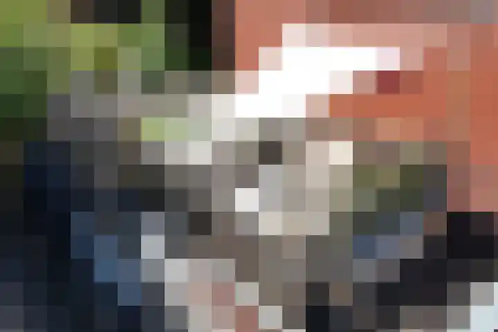 Helper Westsingel 6 Groningen thumbnail 60