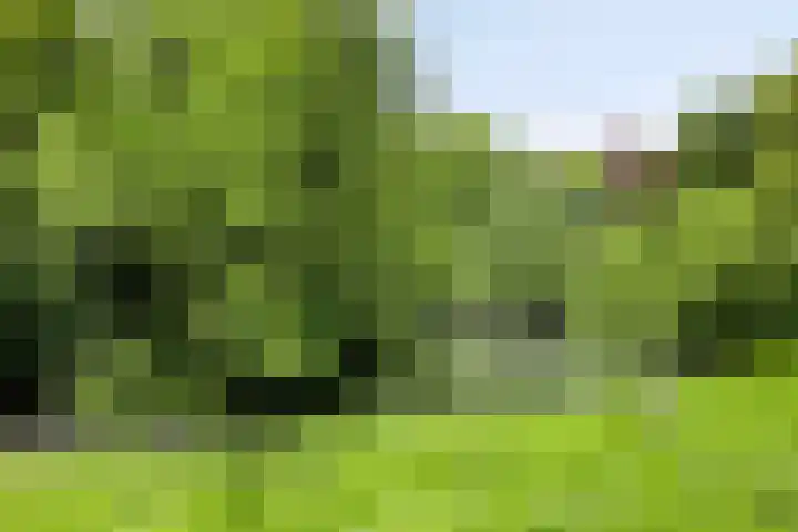 Helper Westsingel 6 Groningen thumbnail 63