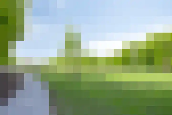 Helper Westsingel 6 Groningen thumbnail 64