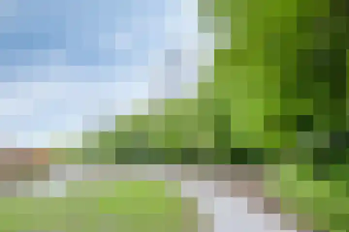 Helper Westsingel 6 Groningen thumbnail 65