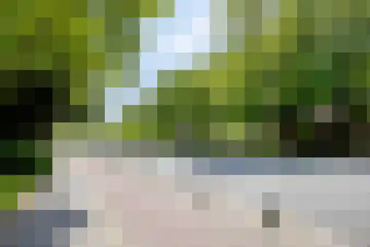 Helper Westsingel 6 Groningen thumbnail 66
