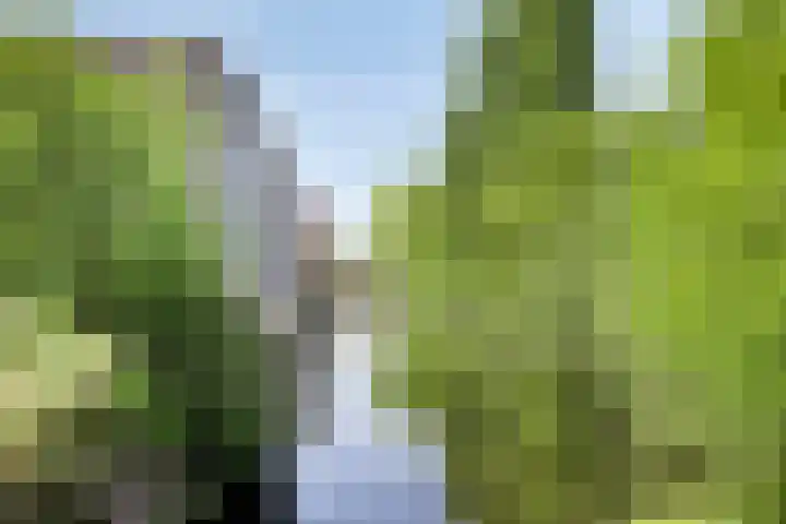 Helper Westsingel 6 Groningen thumbnail 67