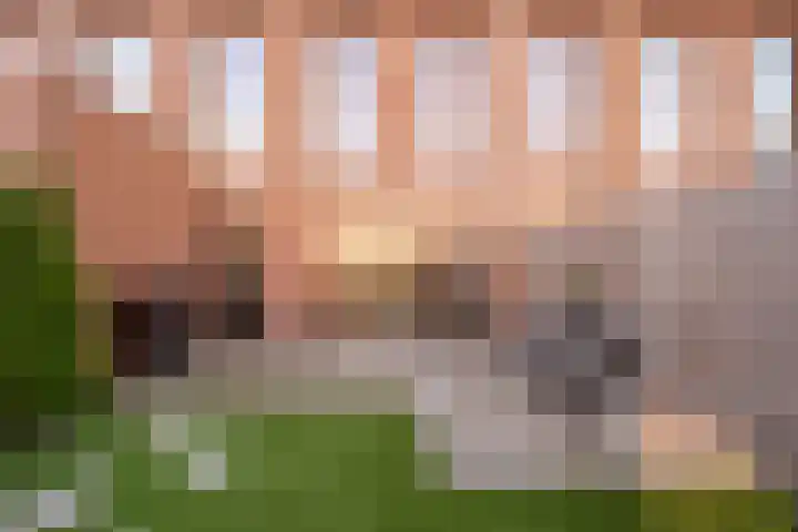 Helper Westsingel 75 Groningen thumbnail 34
