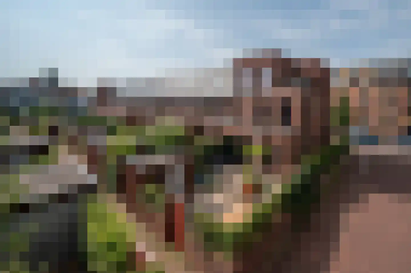 Helper Westsingel 81 Groningen thumbnail 47
