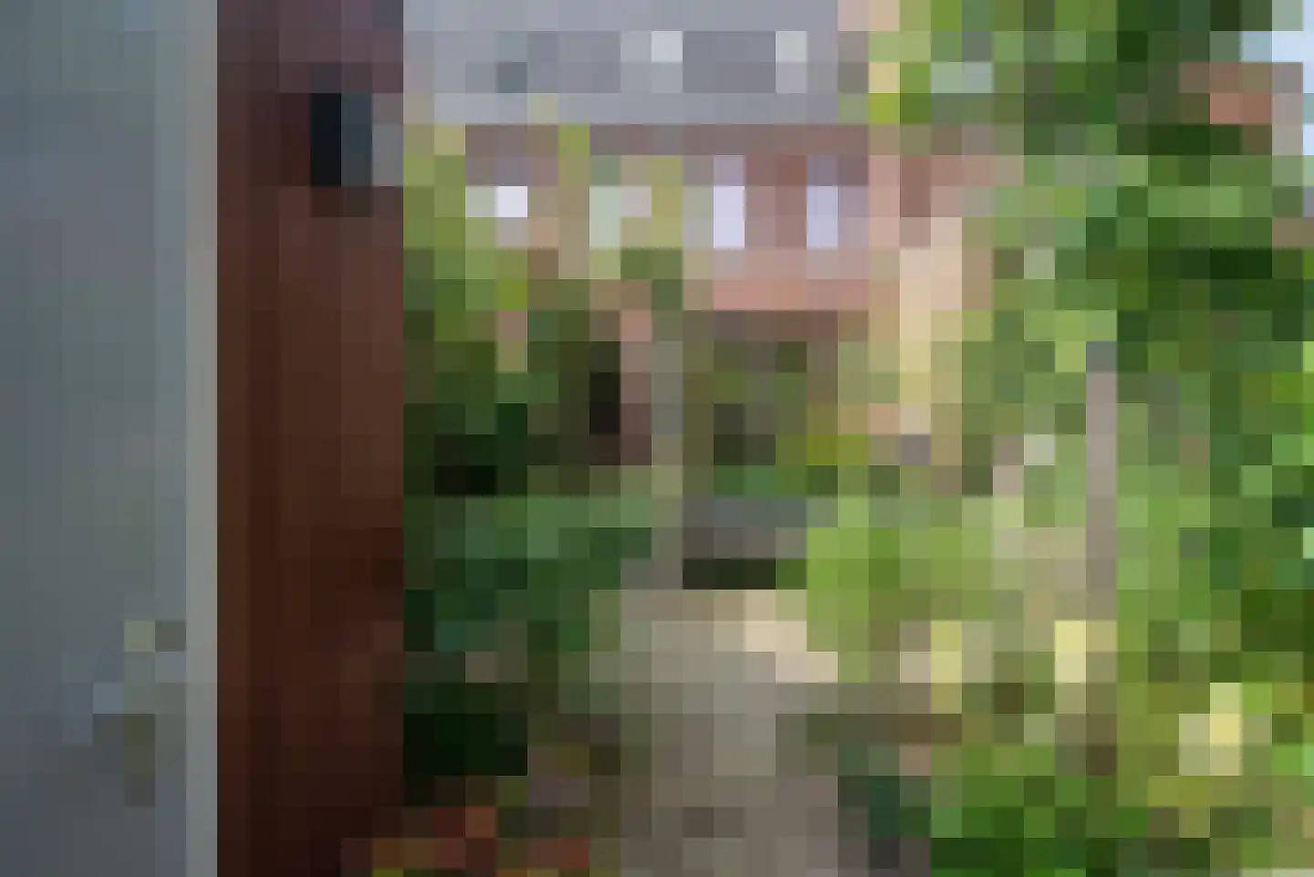 Helper Westsingel 81 Groningen thumbnail 48