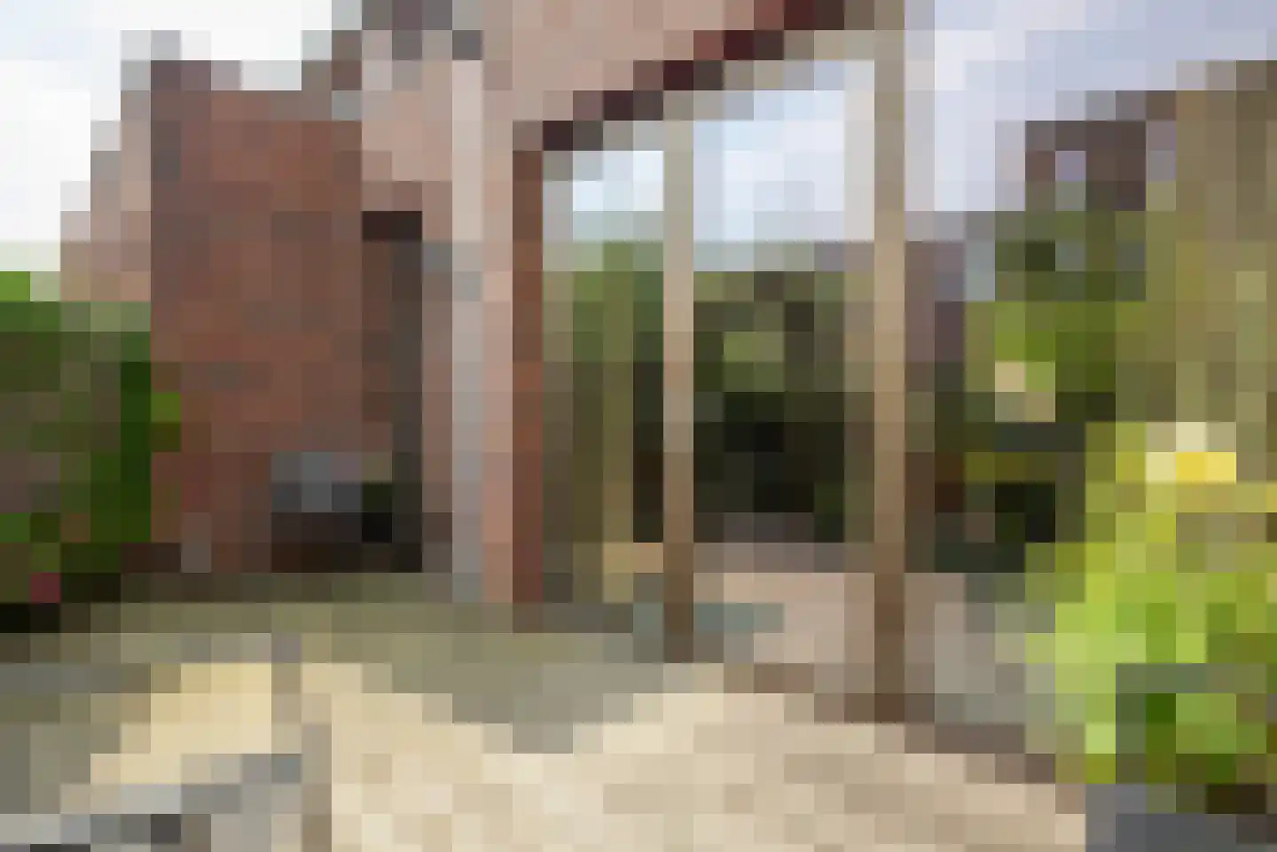 Helper Westsingel 81 Groningen thumbnail 53