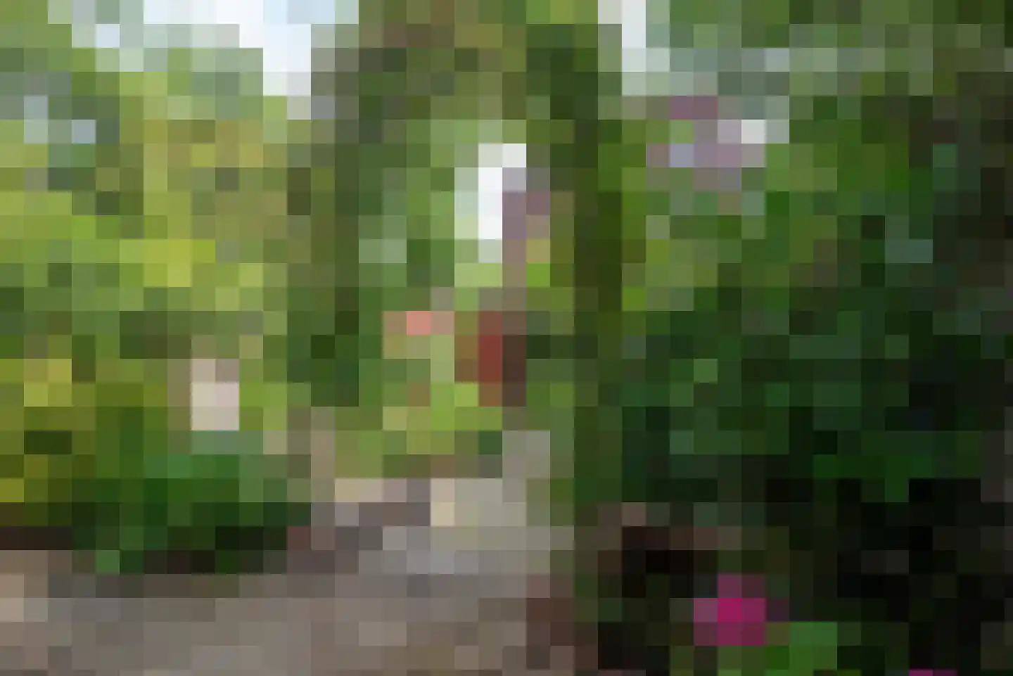 Helper Westsingel 81 Groningen thumbnail 54