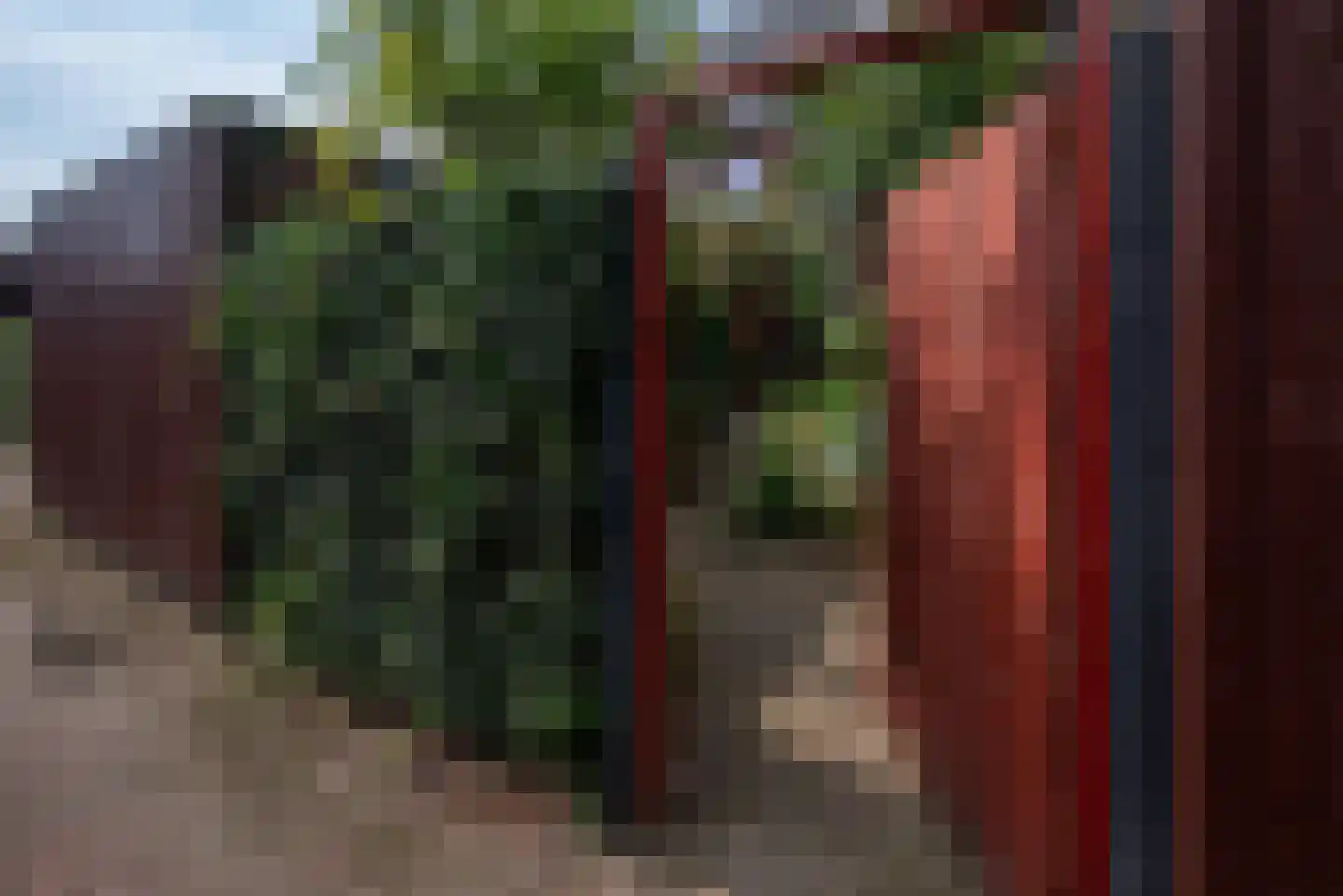 Helper Westsingel 81 Groningen thumbnail 55