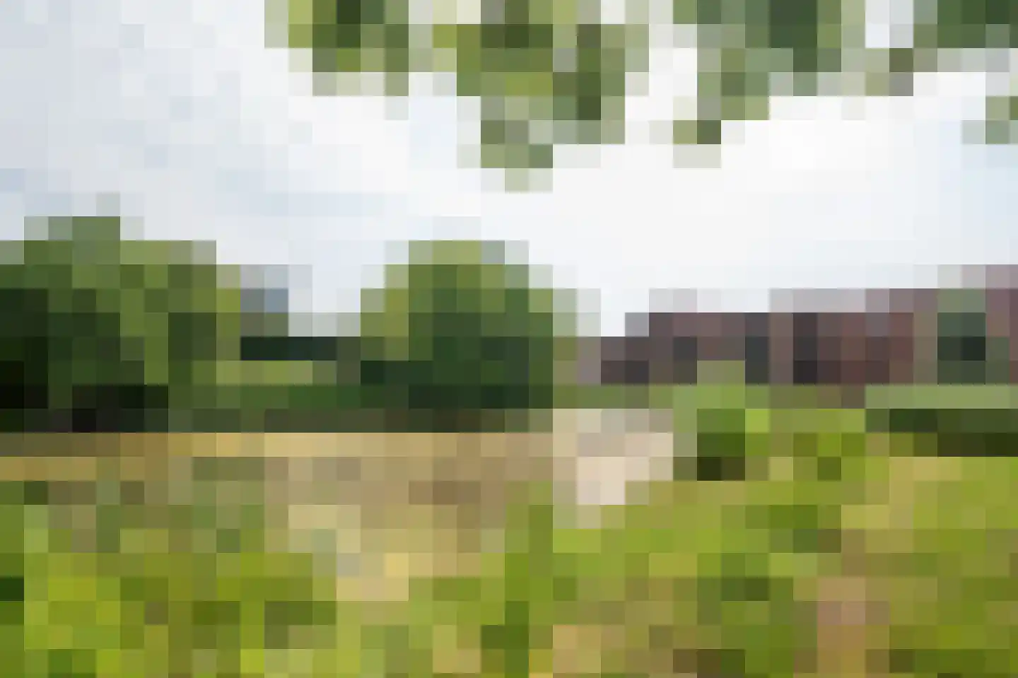 Helper Westsingel 81 Groningen thumbnail 59