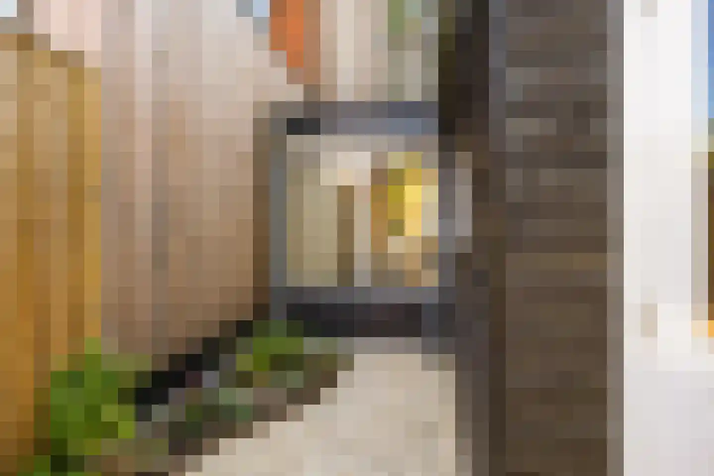 Helper Weststraat 26 Groningen thumbnail 31