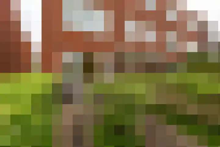 Helper Weststraat 39 Groningen thumbnail 45