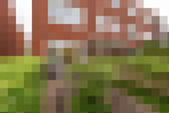 Helper Weststraat 39 Groningen thumbnail 46