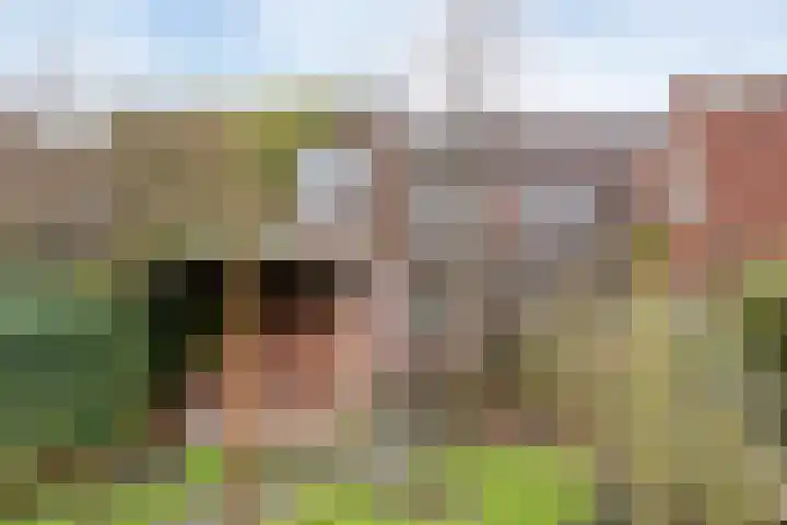 Helper Weststraat 42 Groningen thumbnail 36