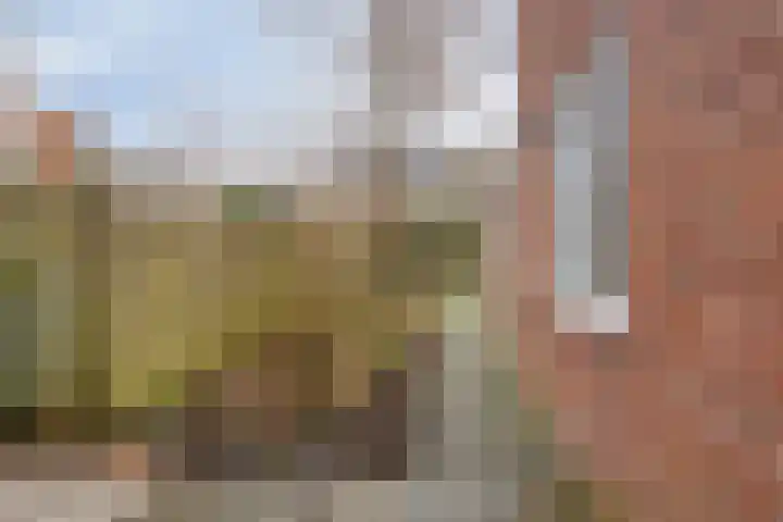 Helper Weststraat 42 Groningen thumbnail 38