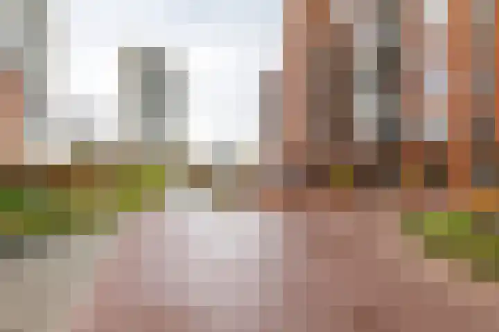 Helperpark 388 Groningen thumbnail 10