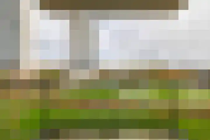 Helperpark 388 Groningen thumbnail 32