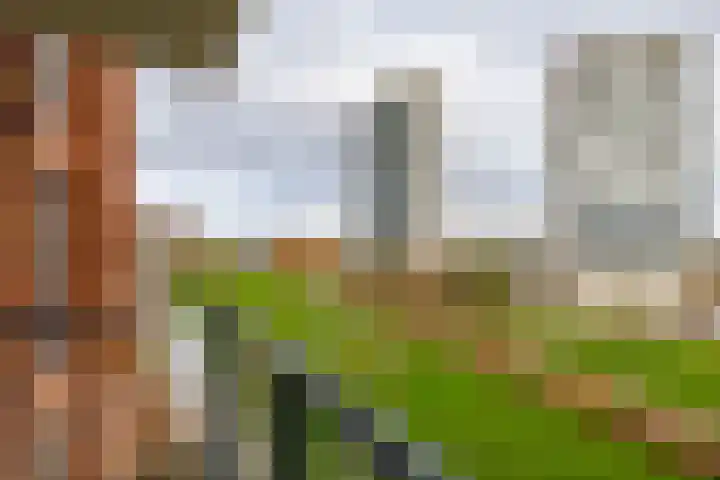 Helperpark 388 Groningen thumbnail 33