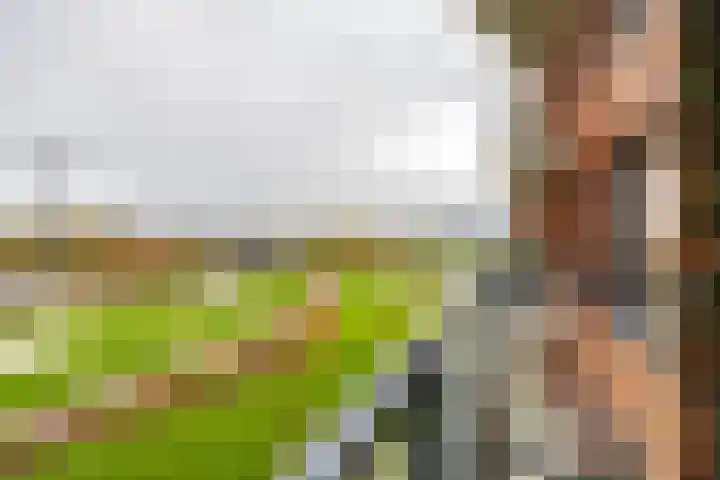 Helperpark 388 Groningen thumbnail 34