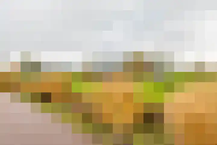 Helperpark 388 Groningen thumbnail 54