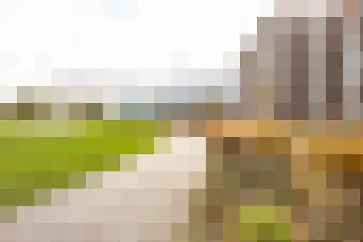 Helperpark 388 Groningen thumbnail 8