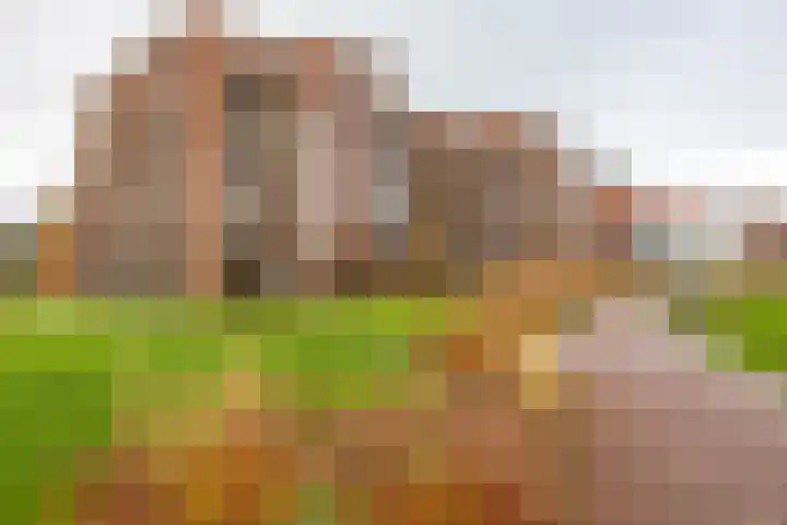 Helperpark 388 Groningen thumbnail 9