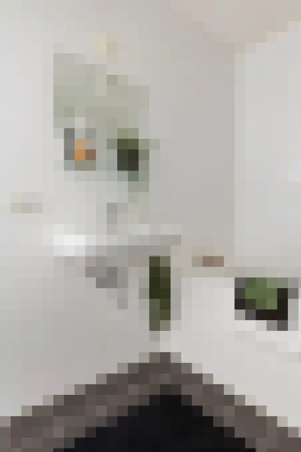 Helperveste 10 Groningen thumbnail 19