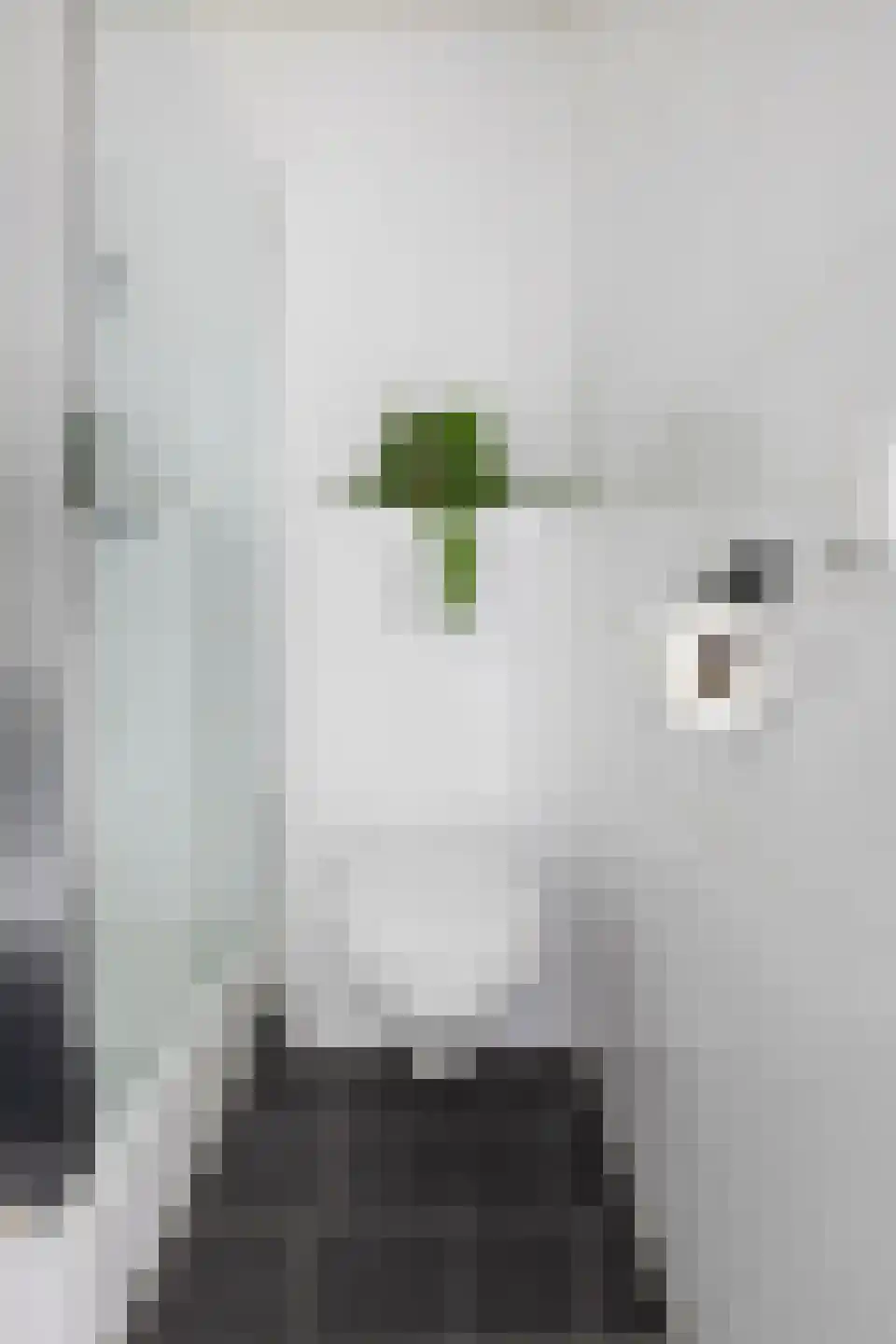 Helperveste 10 Groningen thumbnail 20