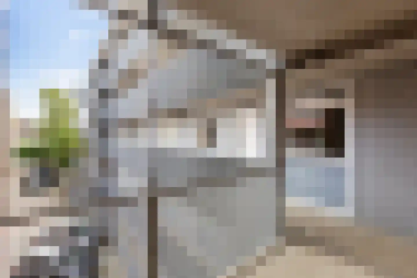 Helperveste 10 Groningen thumbnail 24