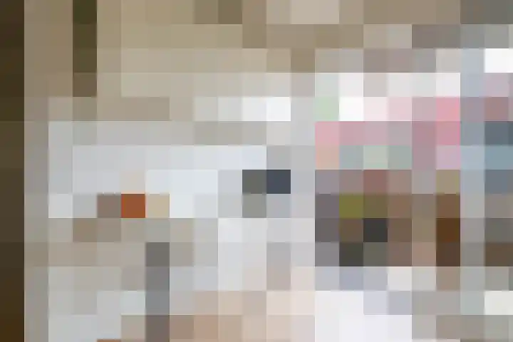 Helperveste 22 Groningen thumbnail 14