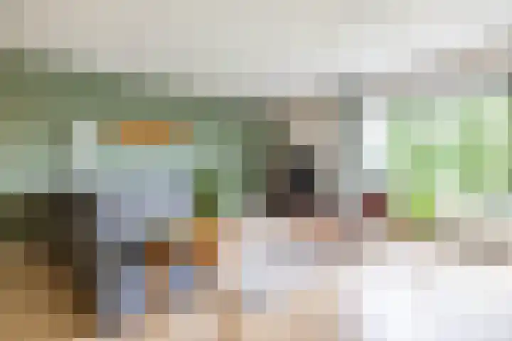 Helperveste 22 Groningen thumbnail 23