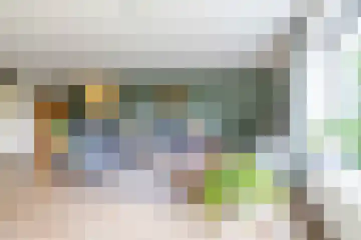 Helperveste 22 Groningen thumbnail 24