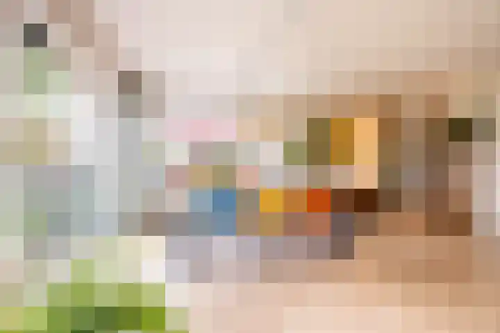 Helperveste 22 Groningen thumbnail 26