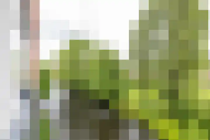 Helperveste 22 Groningen thumbnail 27