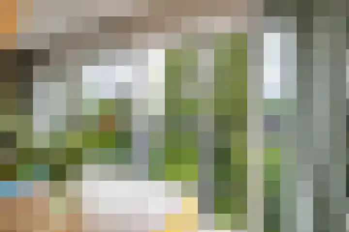 Helperveste 22 Groningen thumbnail 28