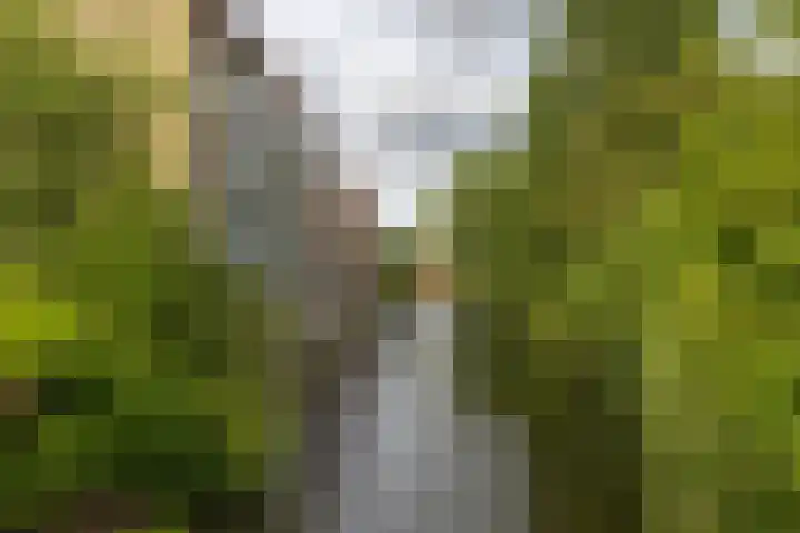 Helperveste 22 Groningen thumbnail 4