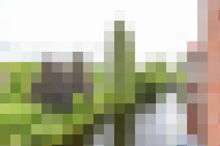 Helperveste 22 Groningen thumbnail 5