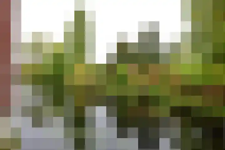 Helperveste 37 Groningen thumbnail 23