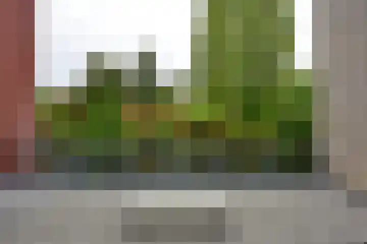 Helperveste 37 Groningen thumbnail 24