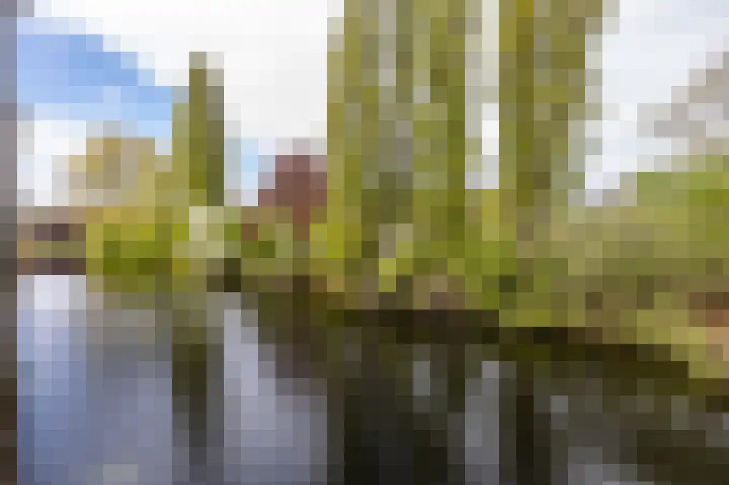 Helperveste 40 Groningen thumbnail 14