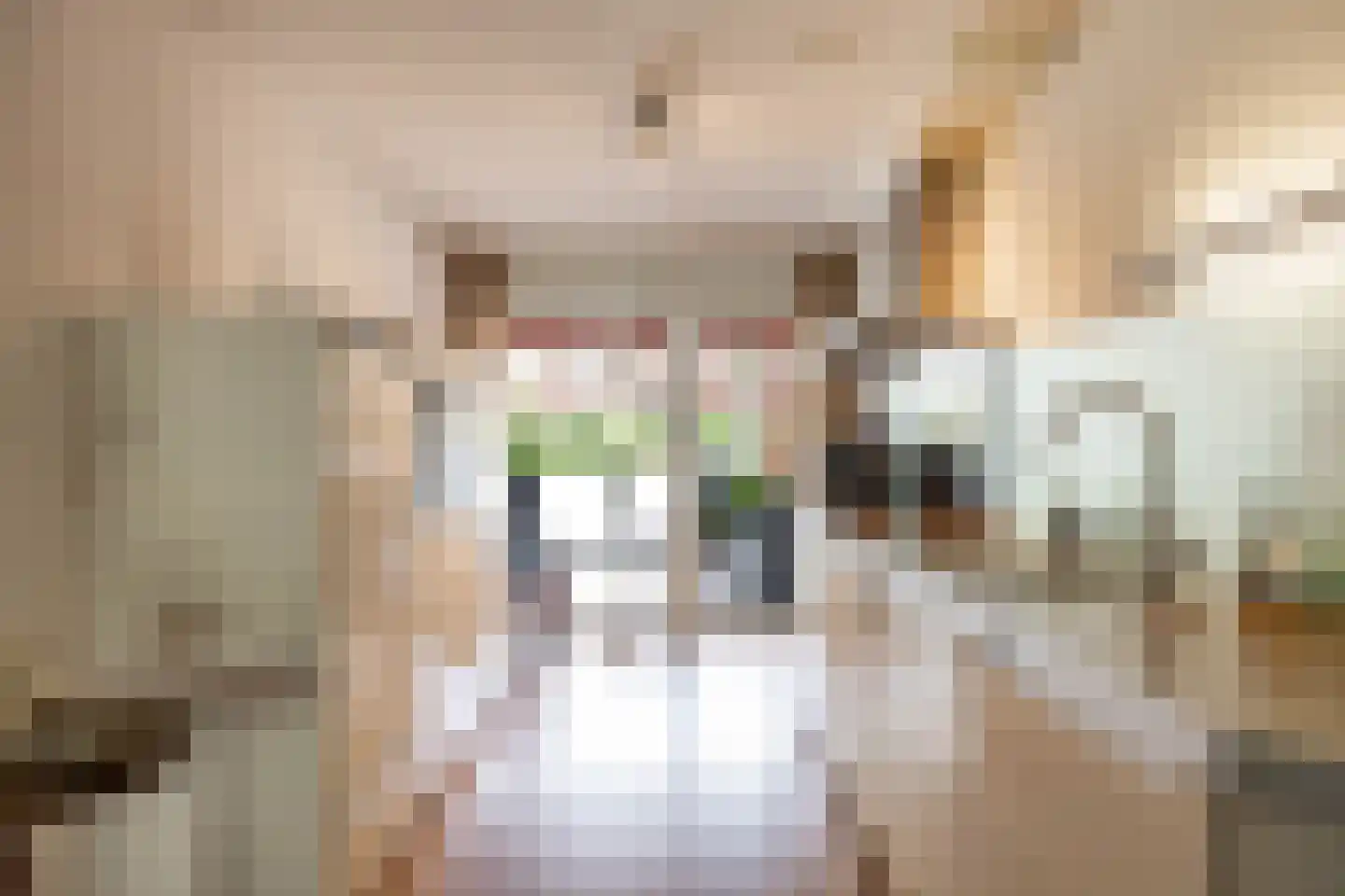 Helperveste 40 Groningen thumbnail 17