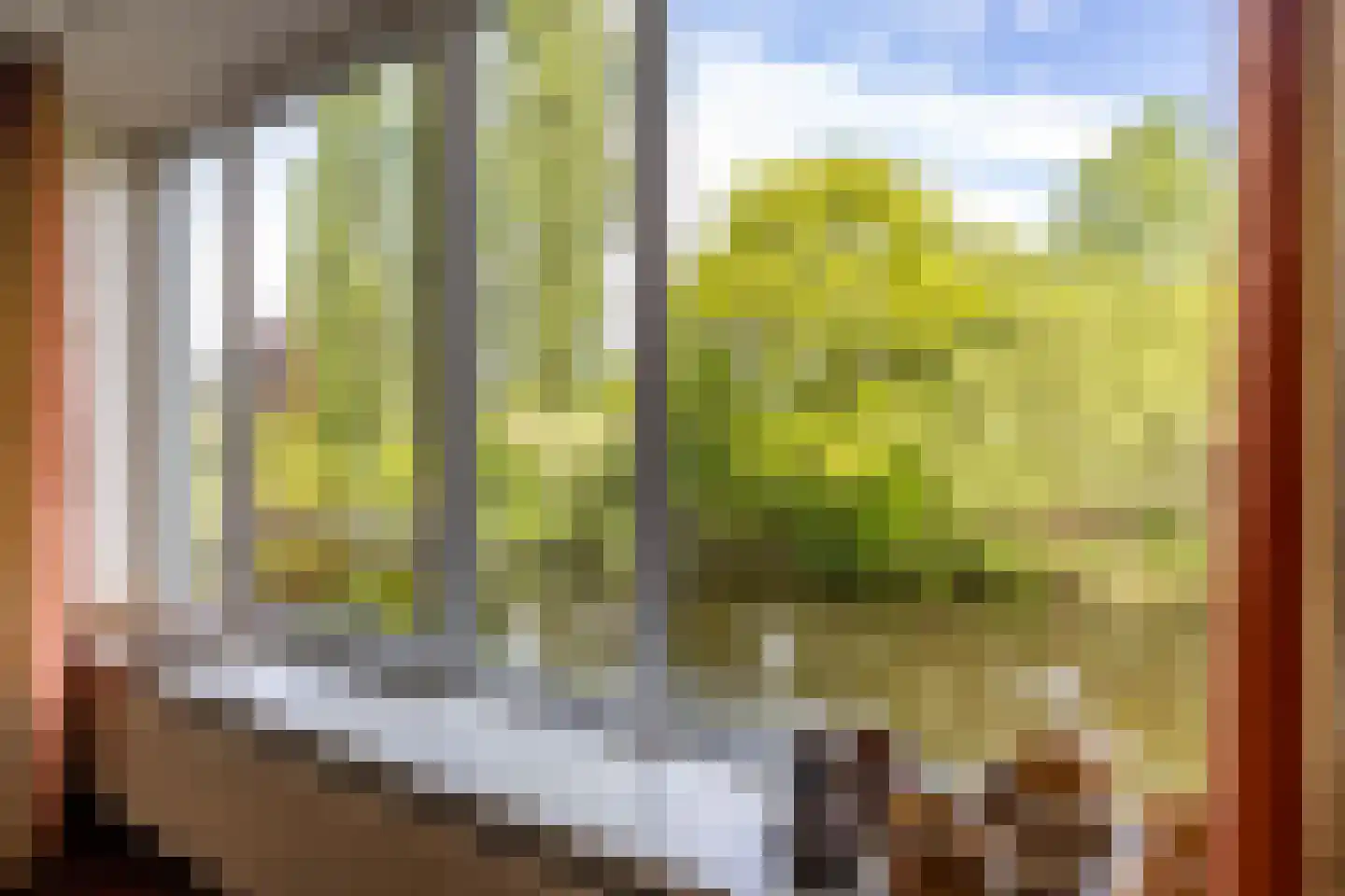 Helperveste 41 Groningen thumbnail 11