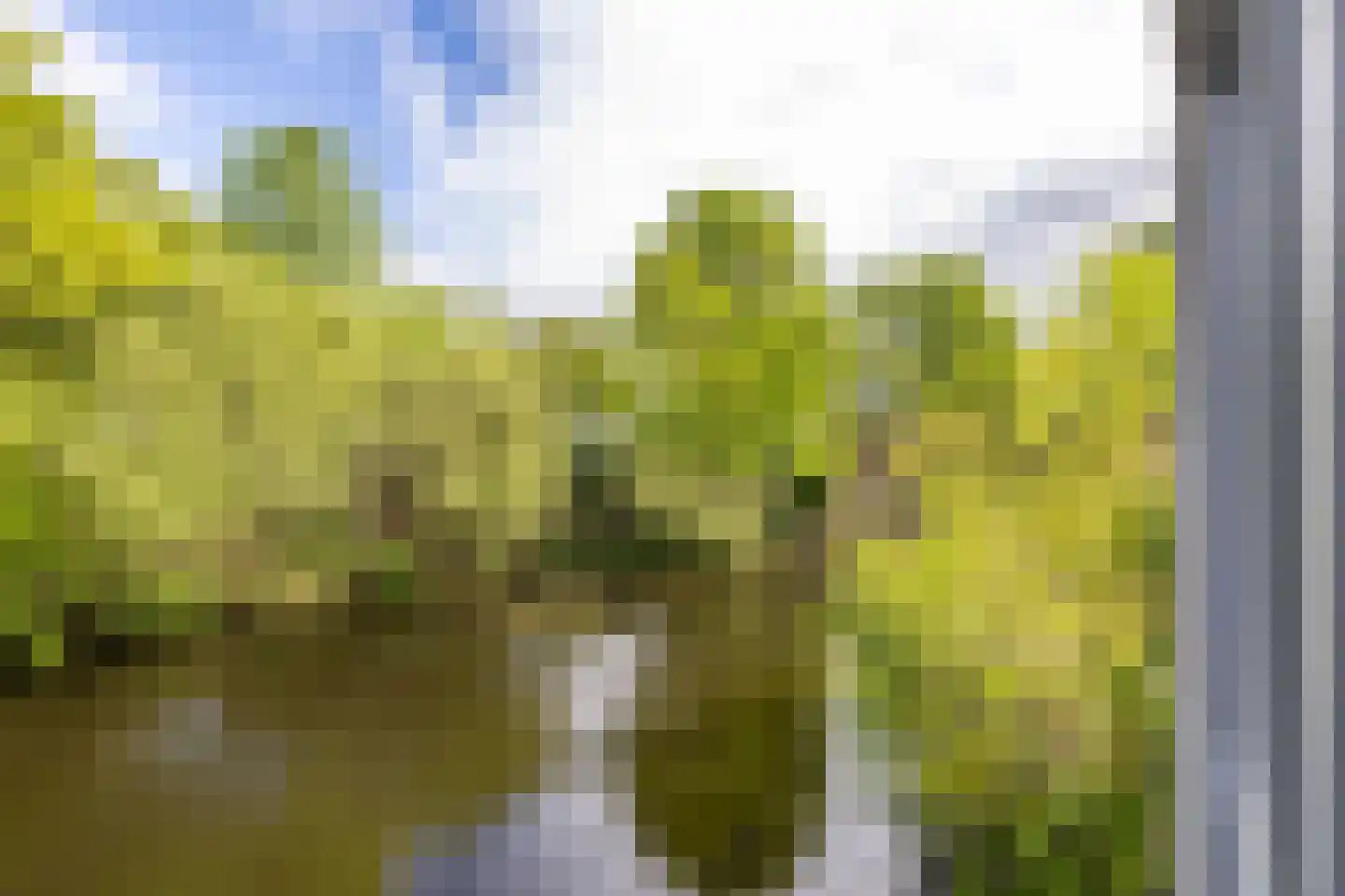 Helperveste 41 Groningen thumbnail 13