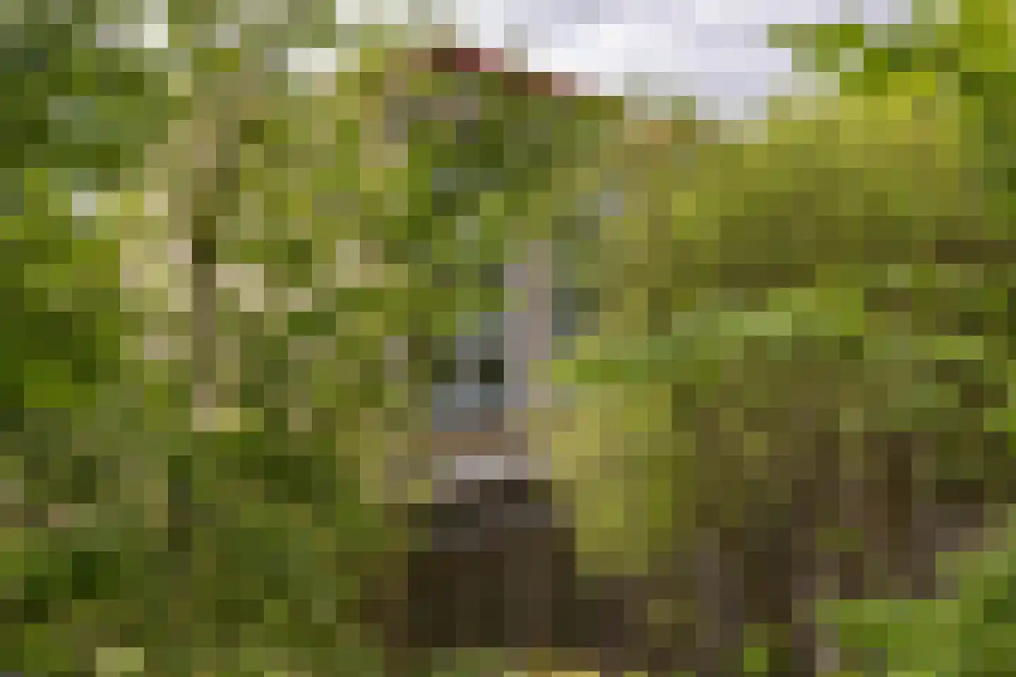 Helperveste 41 Groningen thumbnail 40