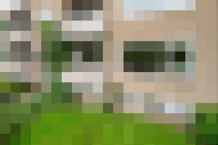 Helperzoom 129 Groningen thumbnail 10