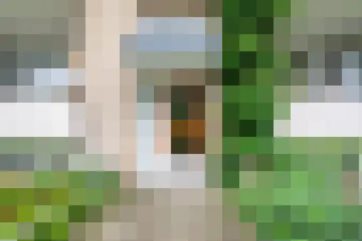Helperzoom 129 Groningen thumbnail 11