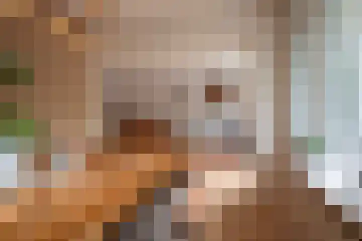 Helperzoom 129 Groningen thumbnail 21